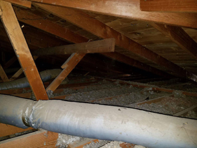 Attic Cleaning and Insulation in California